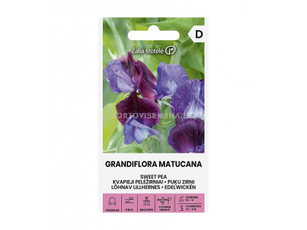 СЕМЕНА ДЕКОРАТИВЕН ГРАХ ЕДРОЦВЕТЕН МАТУКАНА SWEET PEA | GRANDIFLORA MATUCANA СК 