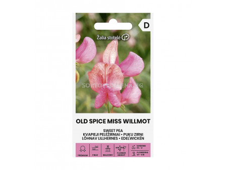 СЕМЕНА ДЕКОРАТИВЕН ГРАХ МИС УИЛМОТ SWEET PEA | OLD SPICE MISS PAKWILLMOT СК 