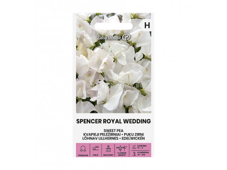 СЕМЕНА ДЕКОРАТИВЕН ГРАХ КРАЛСКА СВАТБА  SWEET PEA | SPENCER ROYAL PAKWEDDING  СК 
