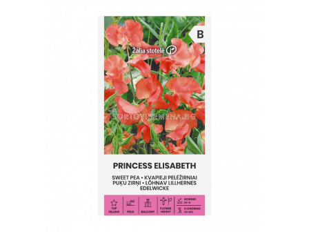 СЛАДЪК ГРАХ PRINCES ELISABET - SWEET PEA -'SK-2г 