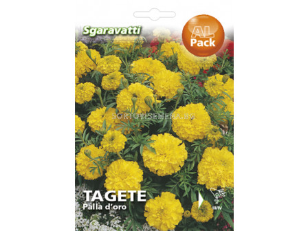 Семена Тагетес (Tagetes) Nana Palla D'oro`SG 