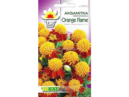 Тагетес Orang Flame -1 г