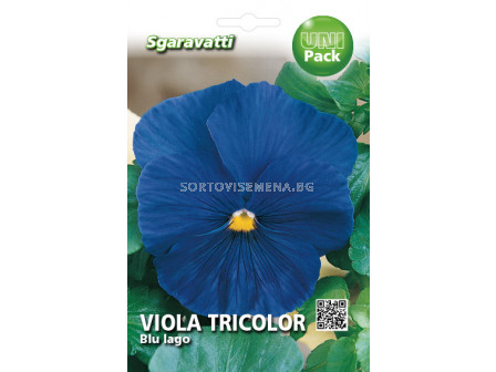 Семена Теменуга синя`SG - Violet blue`SG 