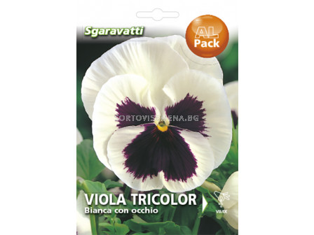 Семена Теменуга Бяла с черно сърце`SG - Violet white and black`SG