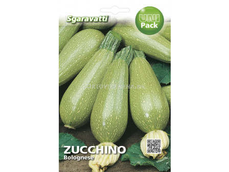 Семена тиквички Болонезе`SG - zucchini Bolognese`SG