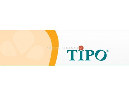 Типо