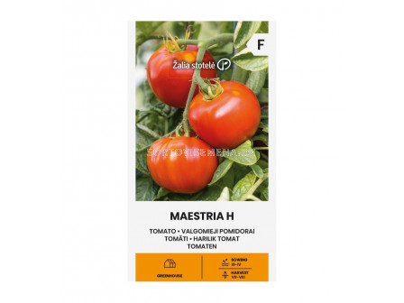 СК СЕМЕНА ДОМАТИ МАЕСТРИА Х TOMATO, MAESTRIA H  