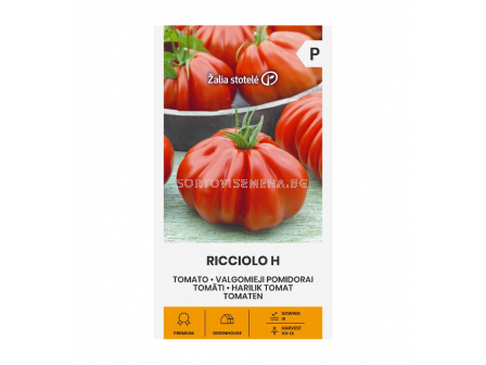 СК Домат RICCIOLO H, TOMATO 