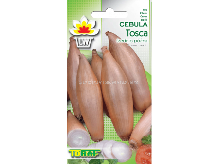 Семена Лук Tosca – дълъг - 2 г