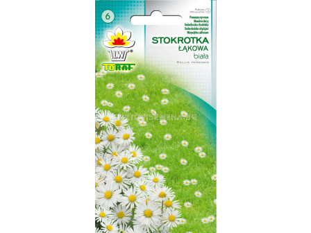 Бяла маргаритка ливадна - Bellis perennis - 0,2 g