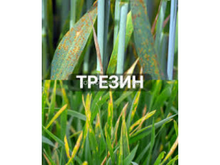 Трезин - 5 л