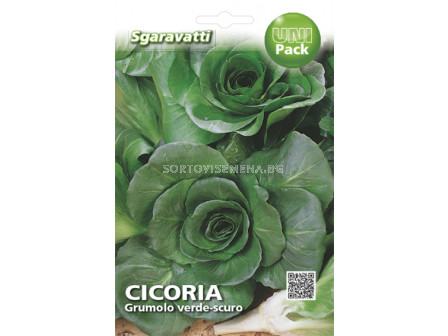 цикория Grumolo verde-scuro`SG