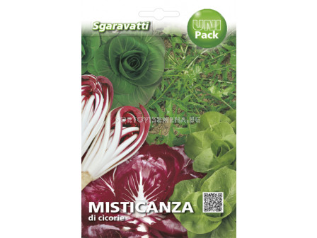 Семена Цикория (Chicory) mix`SG