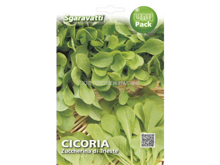 Семена Цикория (Chicory) Zuccherina di Trieste`SG