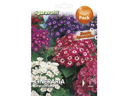 Семена Цинерария`SG - Cineraria`SG