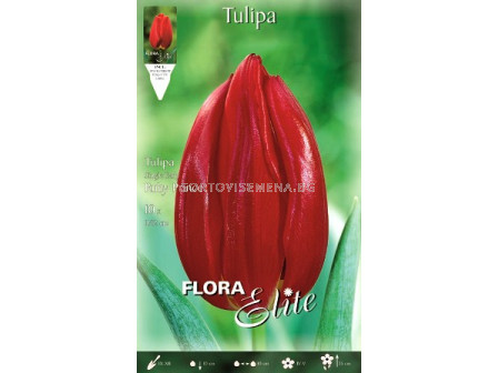 Лале (Tulip) Ruby Prince
