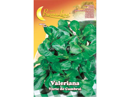 Валериана VERTE DE CAMBRAI MEGA PACK - BL