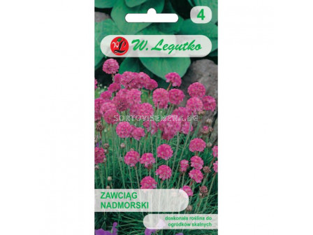 ЛГ АРМЕРИА РОЗОВА Armeria maritima pink