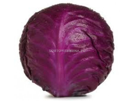 Семена зеле червено Ред Джуел (Ред Руки) F1 - cabbage red Red Jewel (Red Rucki)