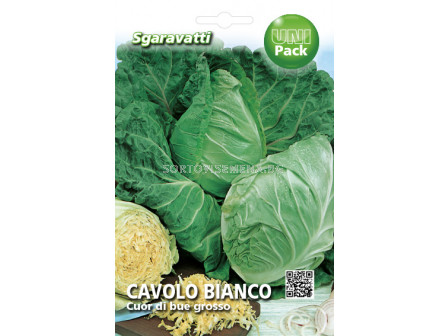 Семена зеле Сърцевидно`SG - cabbage Cuor di bue`SG 
