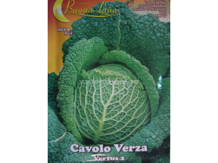 Семена зеле Савойско - cabbage Savoyan