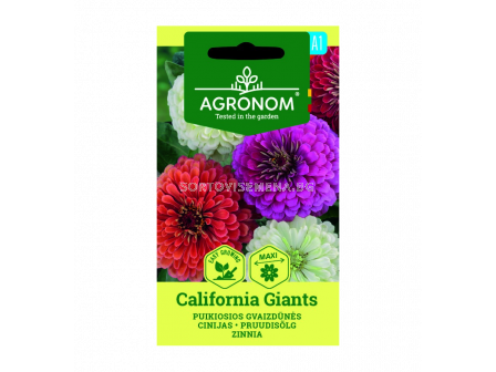 ЦИНИЯ КАЛИФ. ГИГАНТ ZINNIA, CALIFORN.GIANTS  СК 