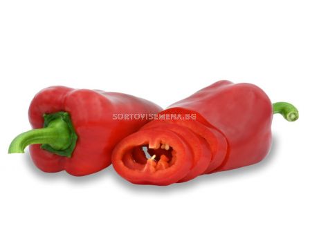 Семена пипер 009 F1 - ZKI- 1000 семена