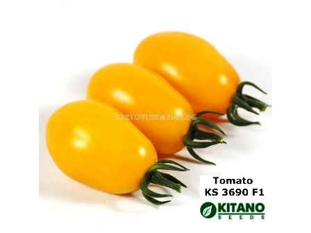 Семена Домати жълти чери KS 3690 - 1