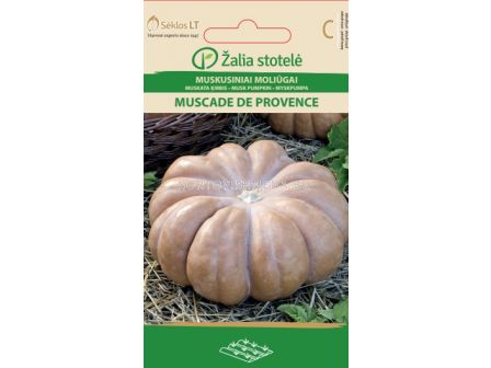 Тиква (MUSK PUMPKIN) MUSCADE DE PROVENCE 'SK - 2 г