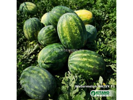 Семена Дини Нейзи F1 - Watermelon Naisy (KS 638) F1 - 3