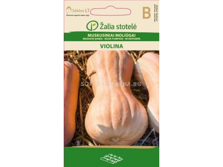 Тиква цигулка Виолина (MUSK PUMPKIN VIOLINA) 'SK - 2 г