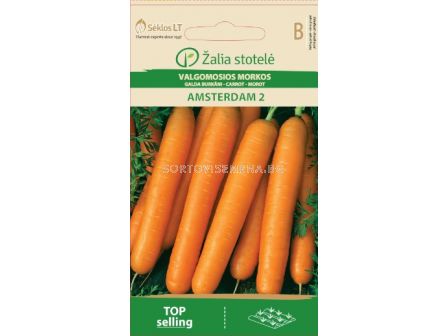 Семена Моркови /Amsterdam 2, Early/ 'SK-1 оп 100 гр