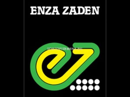 Семена Фасул Atlanta - (без конструкция) - 1 кг.