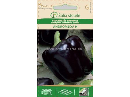 Пипер сладък Андромеда 