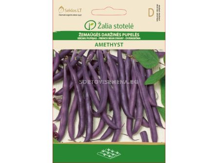 Семена Фасул лилав / Amethyst, Purple podded / 'SK -1 оп