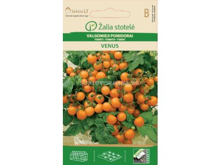 Семена домати Венус (TOMATO VENUS) 'SK - 0,1 г