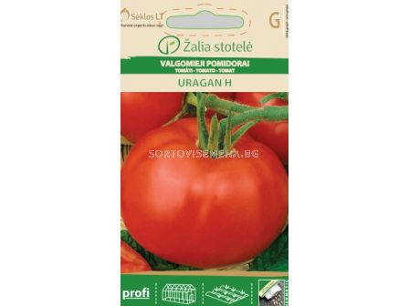Семена домати Ураган (TOMATO URAGAN) 'SK Хибрид - 0,1 г