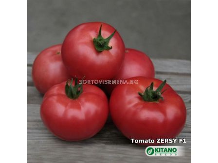 Семена Домати Зерси F1 - Tomato Zersy F1  - 6