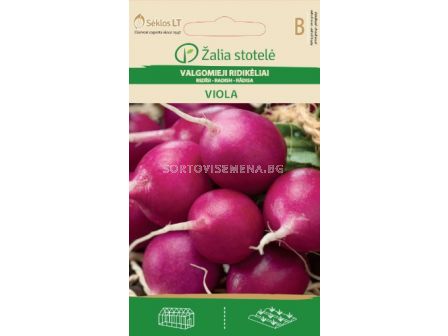 Семена Репички /Viola, Late / 'SK-1 оп 3 гр