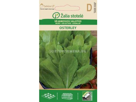 Семена салата /Osterley, Cos type / 'SK-1 оп 0,5 гр