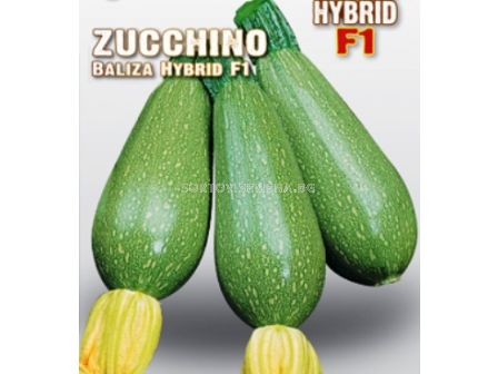 Семена Тиквички Baliza 