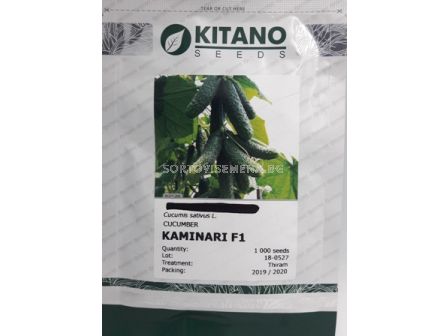 Семена корнишони Каминари (KS 90) F1 - gherkins Kaminari (KS 90) F1  - 3