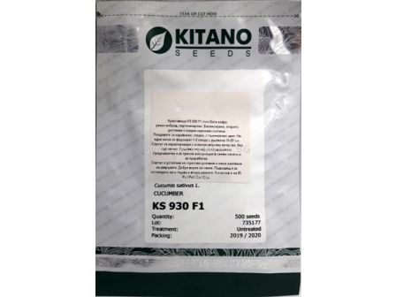 Семена краставици KS 930 F1 (тип Бета алфа) - 2