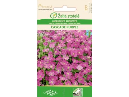 Аубриета лилава / AUBRIETA HYBRID CASCADE PURPLE / SK - 0,1 г