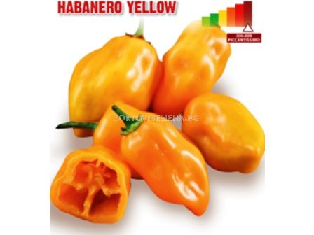 Семена Пикантен пипер Хабанеро (чушки) Habanero Yellow 