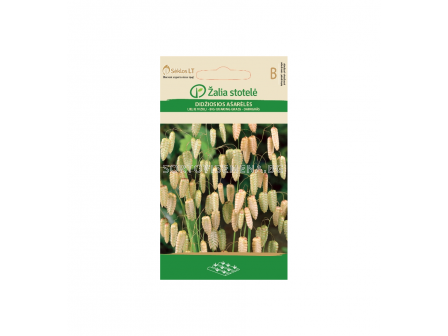 Семена Една сълзица / QUAKING GRASS / 'SK -1 оп