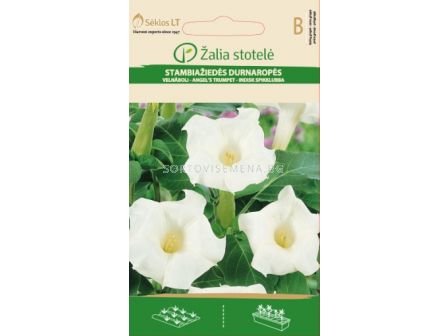 Семена Датура/татул / DATURA METELOIDES / 'SK -1 оп