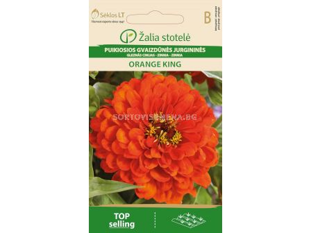 Циния Кинг оранж /  ZINNIA ORANGE KING/ SK - 1 г 