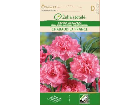 Карамфил кичест розов  / CLOVE PINK CHABAUD LA FRANCE / SK - 0,4 г