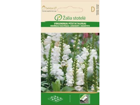 Физостегия бяла /PHYSOSTEGIA ,WHITE / SK - 0,2 г